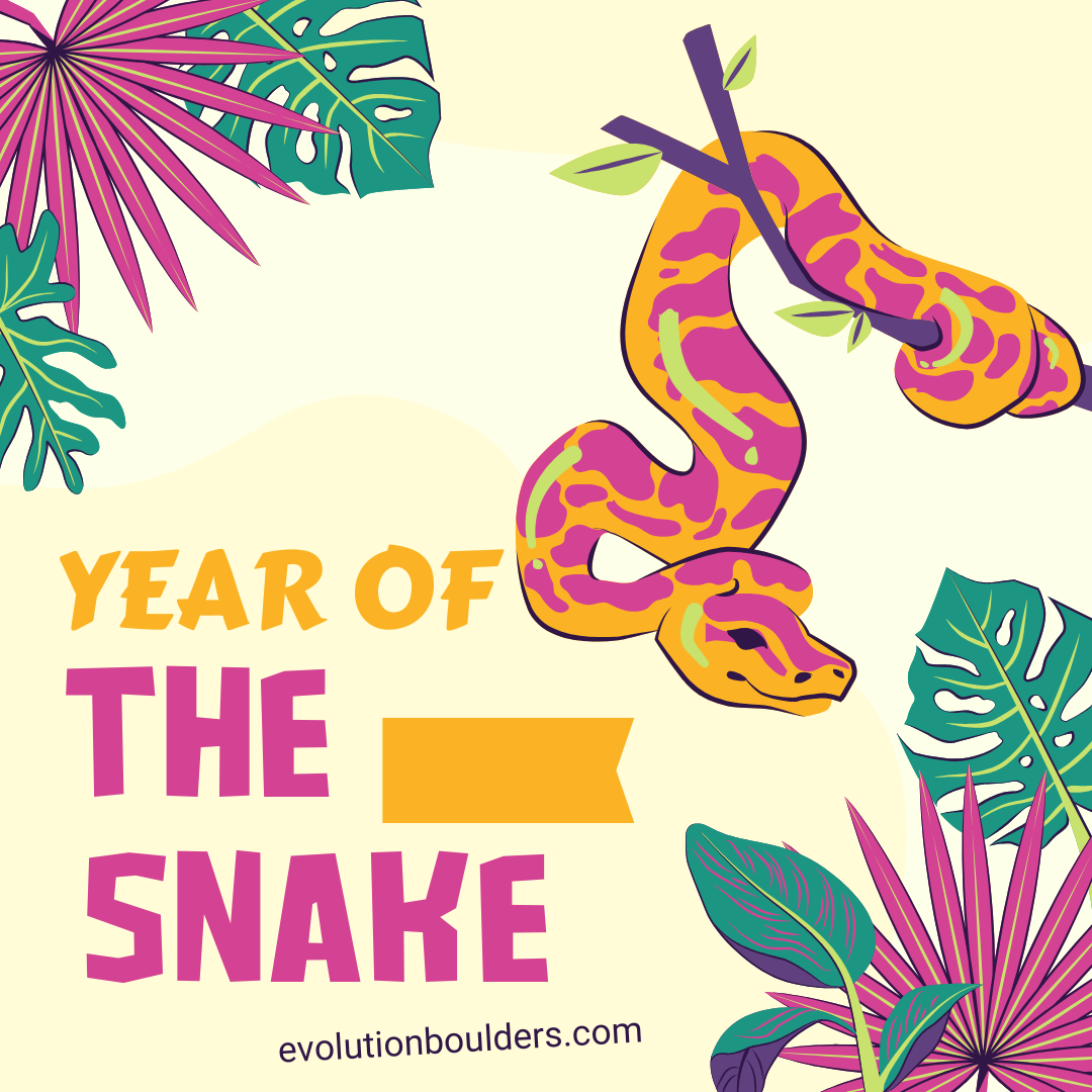 Slither into Fun: Exploring the Year of the Snake Google Game