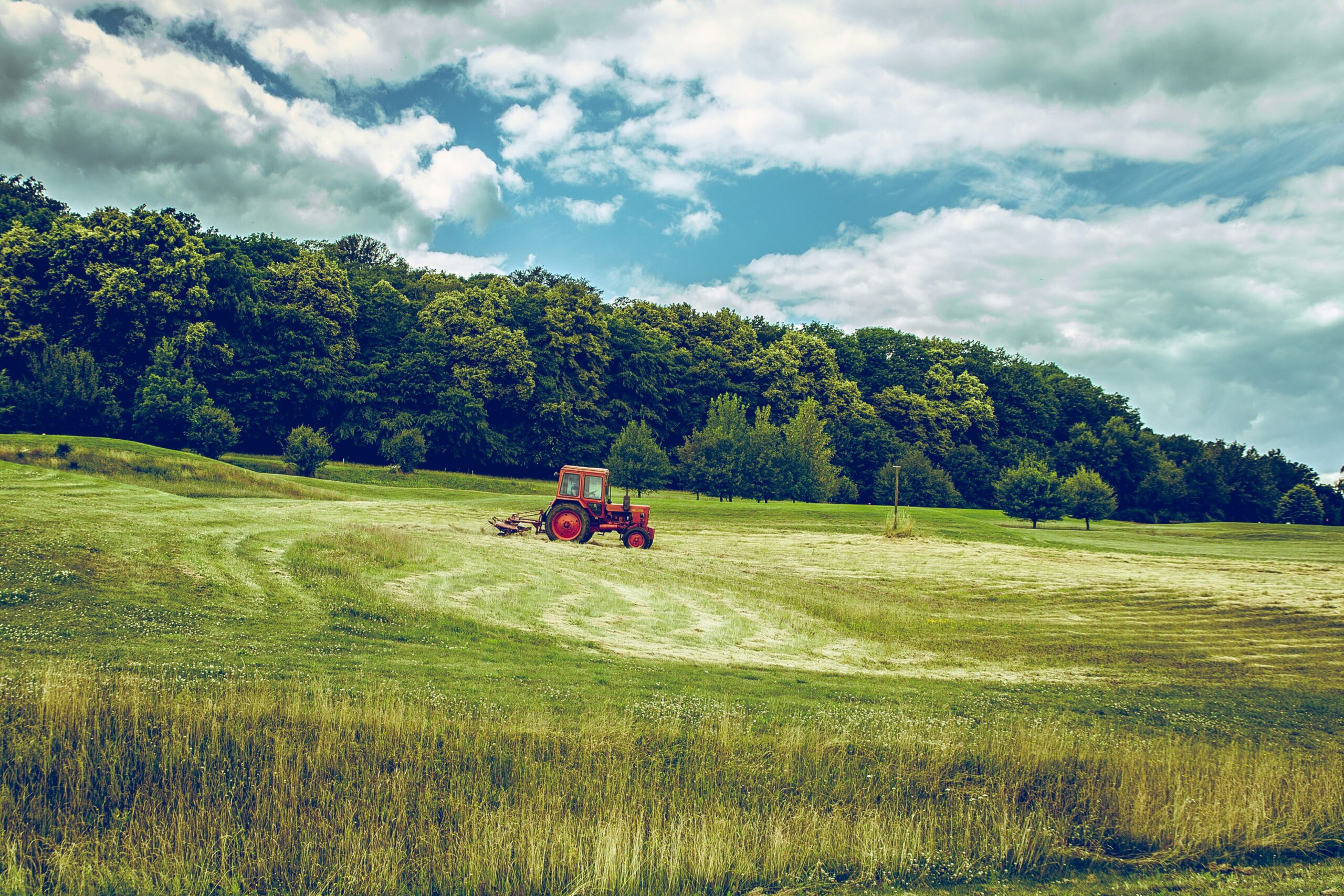 Understanding the Role: Tractor Supply Sales Associate Job Description Explained