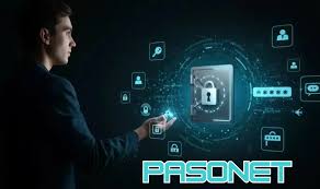 Pasonet Technologies: Lessons Learned from a Defunct IT Company