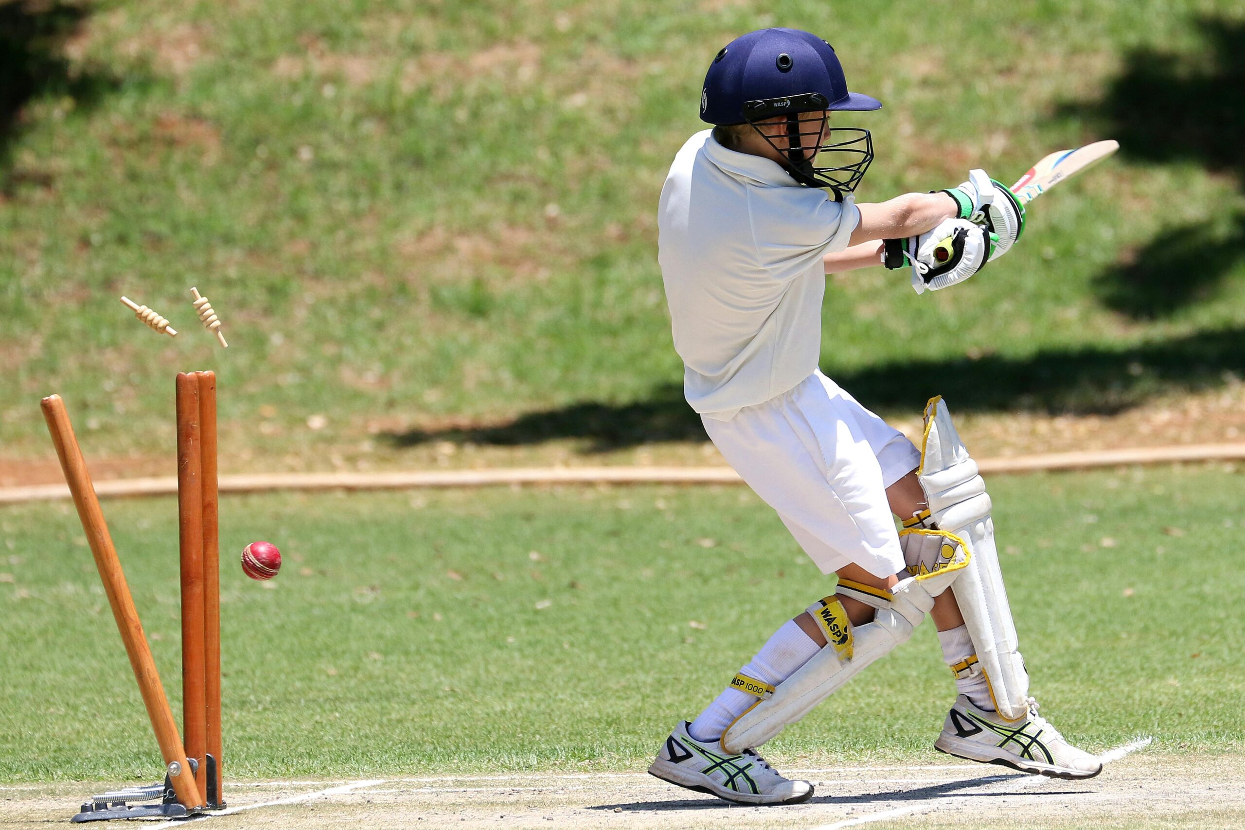 Wheon Cricket 07: A Nostalgic Dive into Classic Cricket Gaming