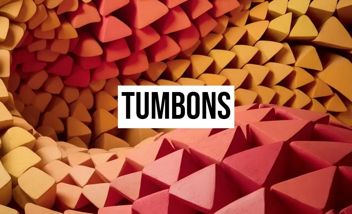 Tumbons: The Art of Balancing Transformation and Stability in Our Lives