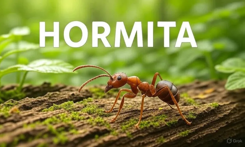 Unveiling Hormita: The Ultimate Escape for Culture Enthusiasts and Adventure Seekers