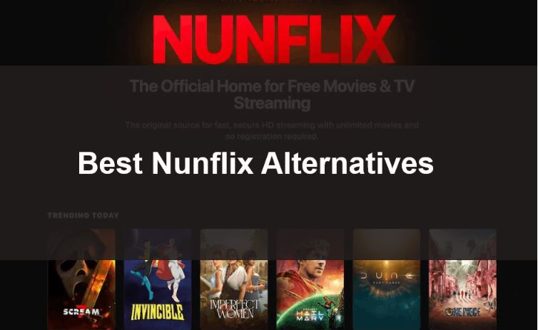 Nunflix: An Overview of the Free Streaming Platform